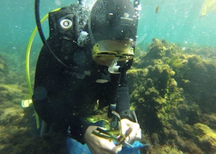 Generic placeholder image